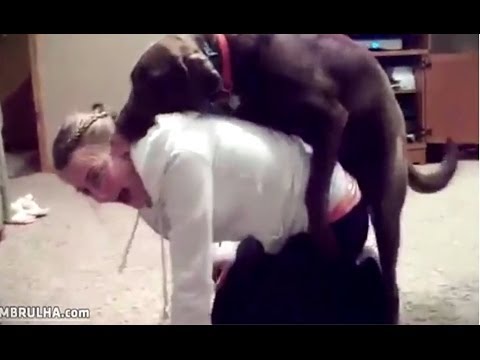 dog with girl funny